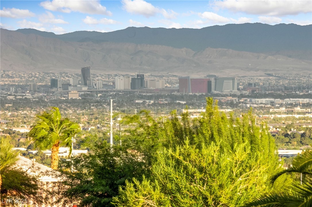 1928 Hot Oak Ridge Street Las Vegas, NV 89134 - Photo 49 of 98