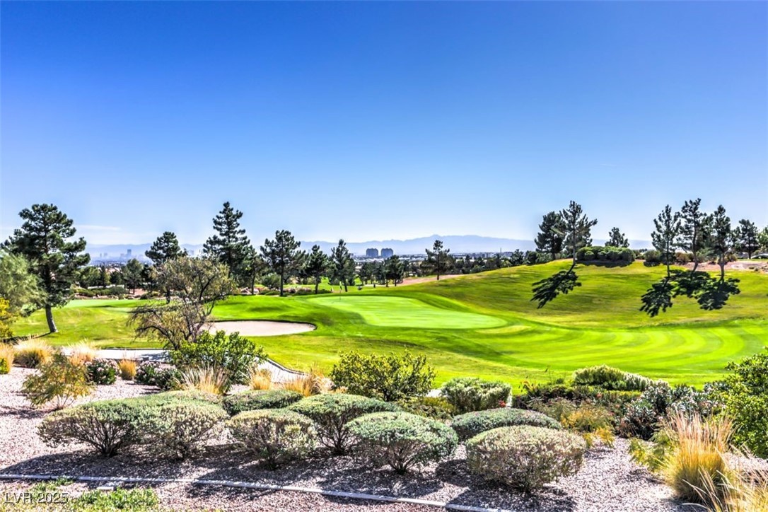 1928 Hot Oak Ridge Street Las Vegas, NV 89134 - Photo 97 of 98