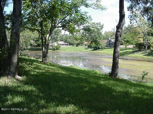 10405 Indian Walk Road Jacksonville, FL 32257 - Photo 11 of 12 Back Yard