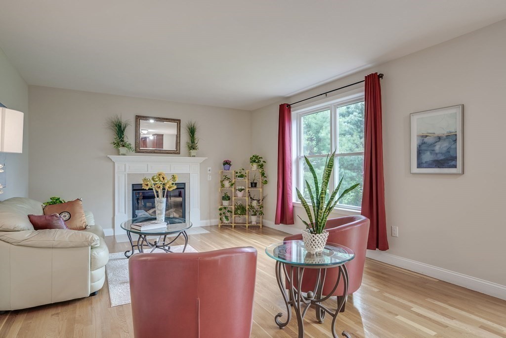 68 Diamondback Avenue Nashua, NH 03062 - Photo 6 of 22 a living room with furniture potted plant and a window