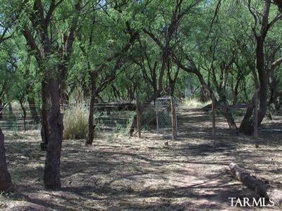 1500 South Astronomers Road St. David, AZ 85630 - Photo 6 of 15 Gallery Image 6