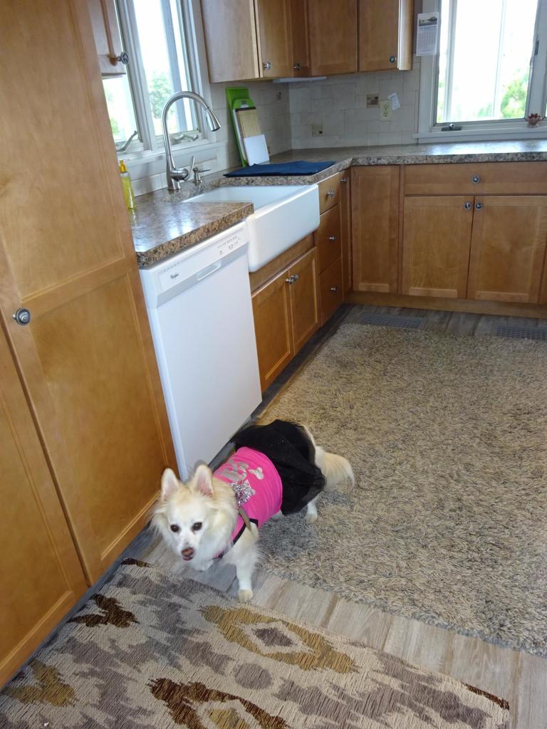 51 9th Street Wellfleet, MA 02667 - Photo 15 of 35 a kitchen with a sink a stove and cabinets