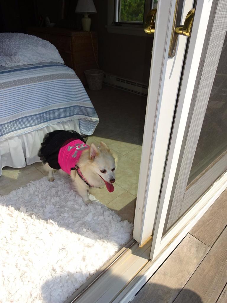 51 9th Street Wellfleet, MA 02667 - Photo 21 of 35 a view of a bedroom