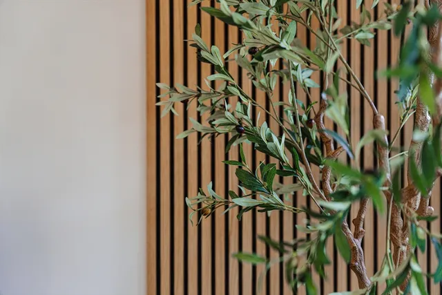 a view of a backyard of the house