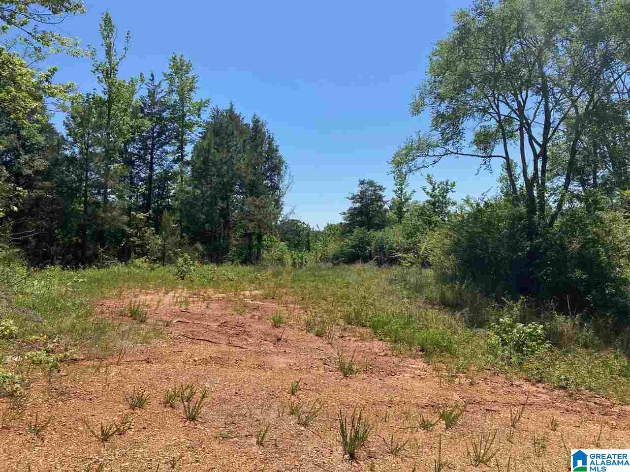 5936 Montevallo Road Centreville, AL 35042 - Photo 1 of 35