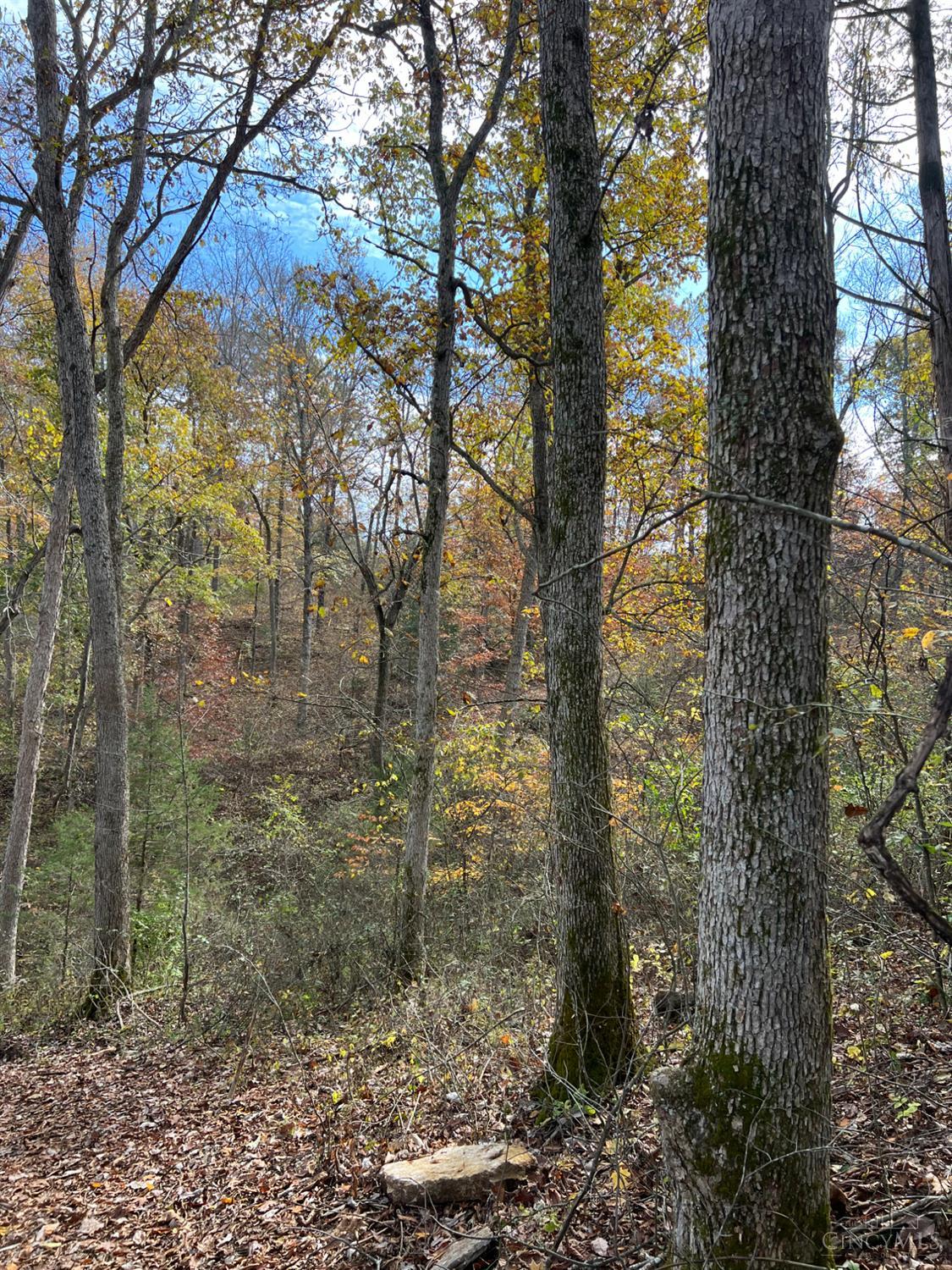 0 Harriet Road Hillsboro, OH 45133 - Photo 39 of 96