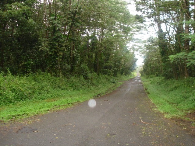 439 Paradise Road Pahoa, HI 96778 - Photo 3 of 3 Gallery Image 3