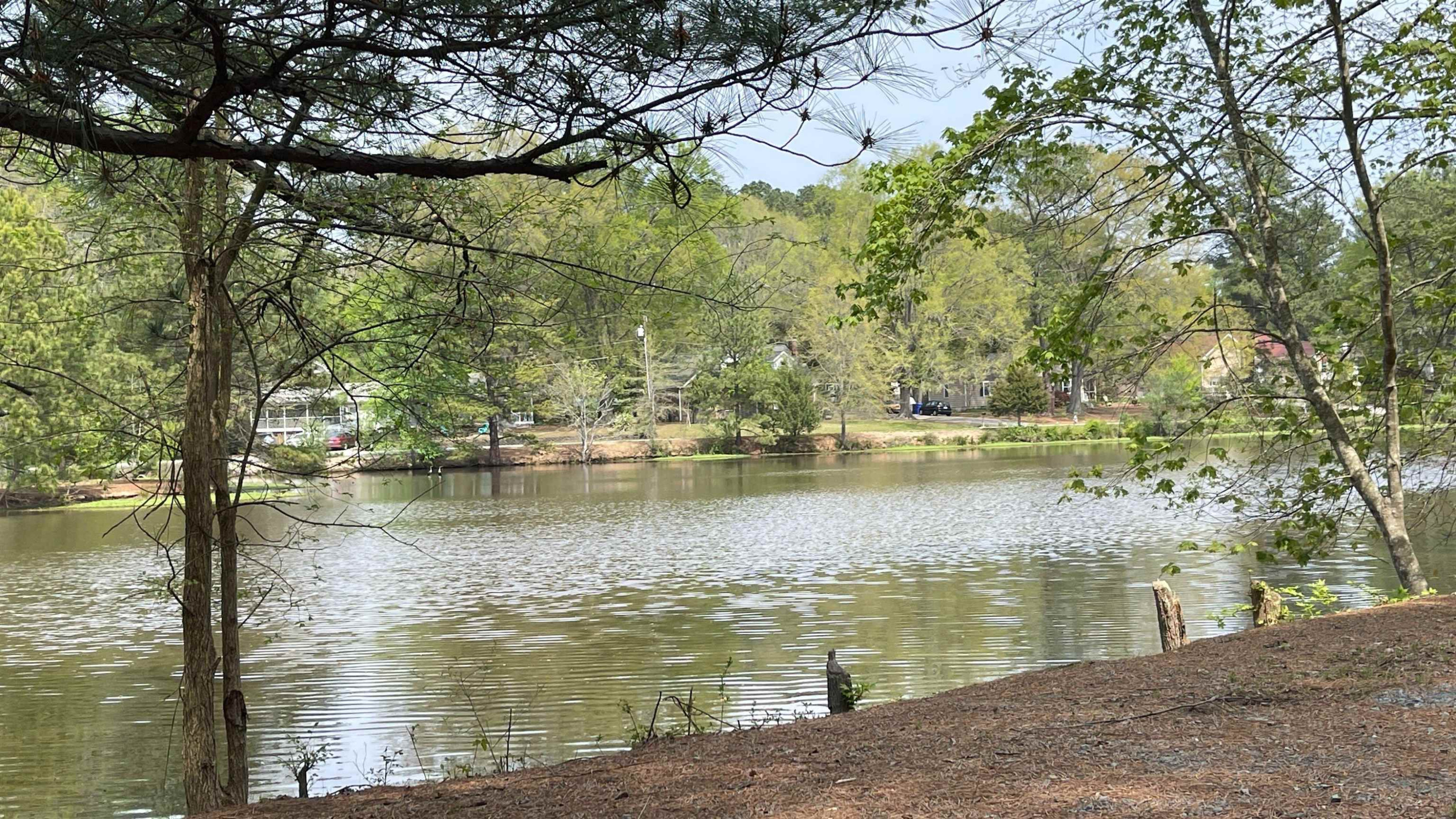 277 Clark Lake Road Durham, NC 27707 - Photo 29 of 38 Photo 29