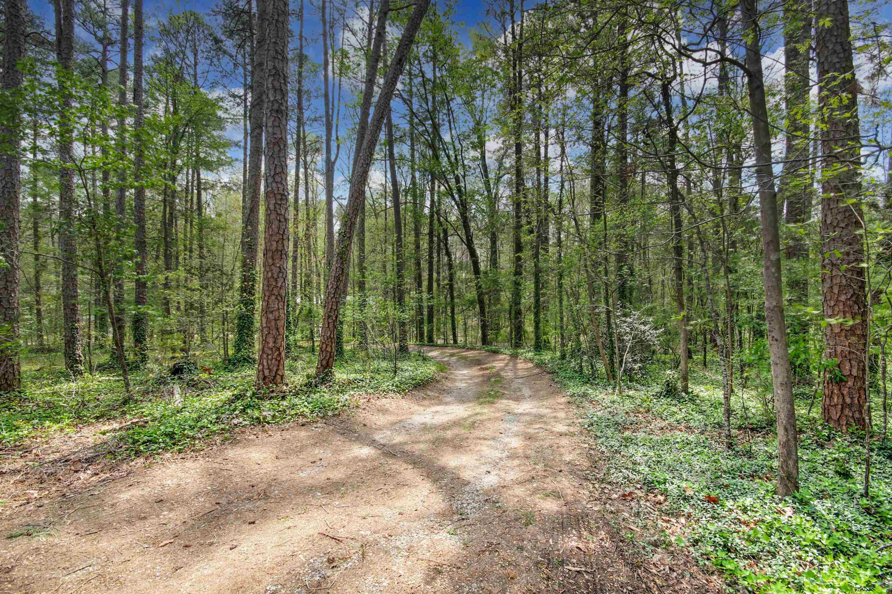 277 Clark Lake Road Durham, NC 27707 - Photo 33 of 38 Photo 33