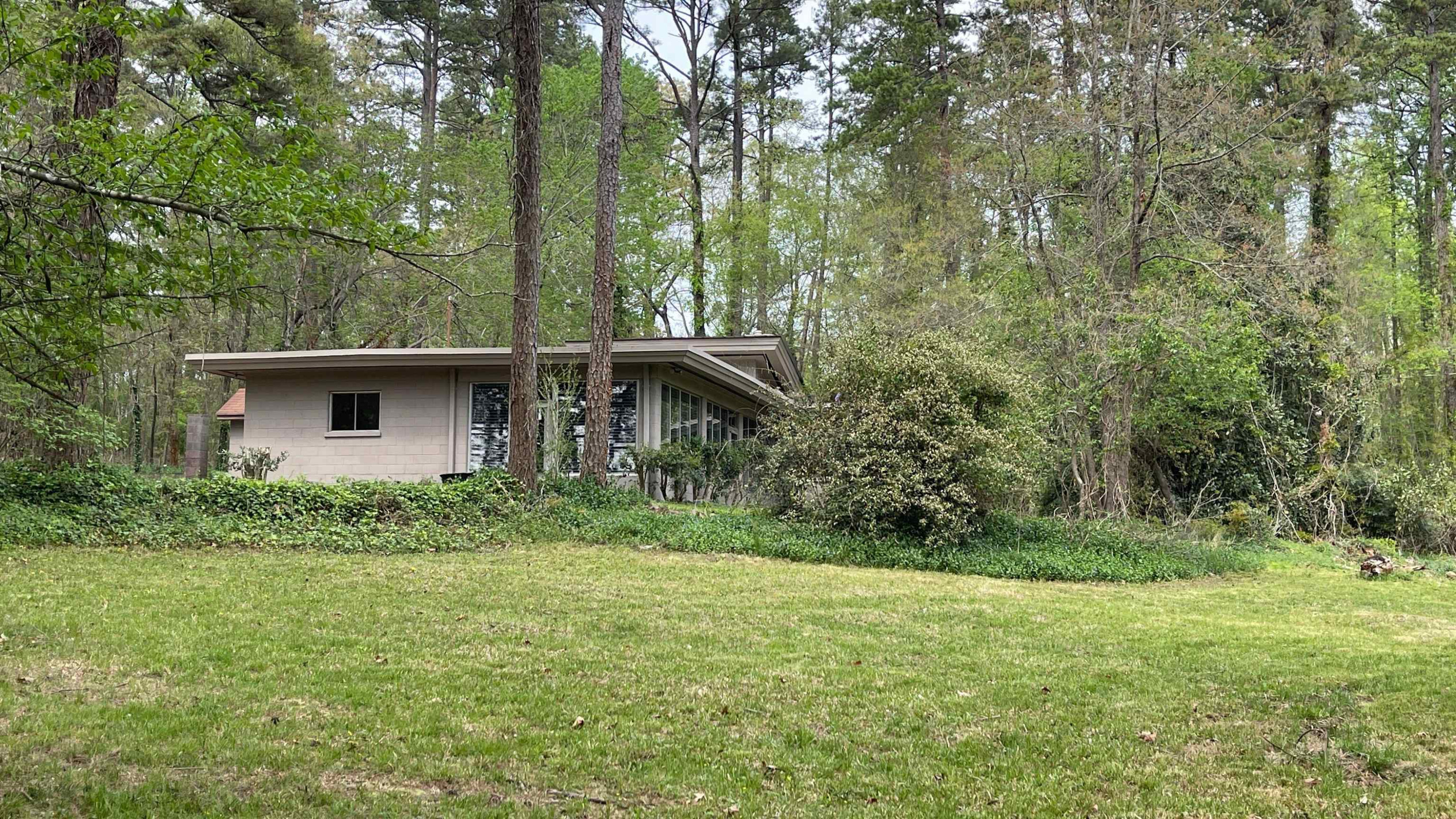 277 Clark Lake Road Durham, NC 27707 - Photo 6 of 38 Photo 6