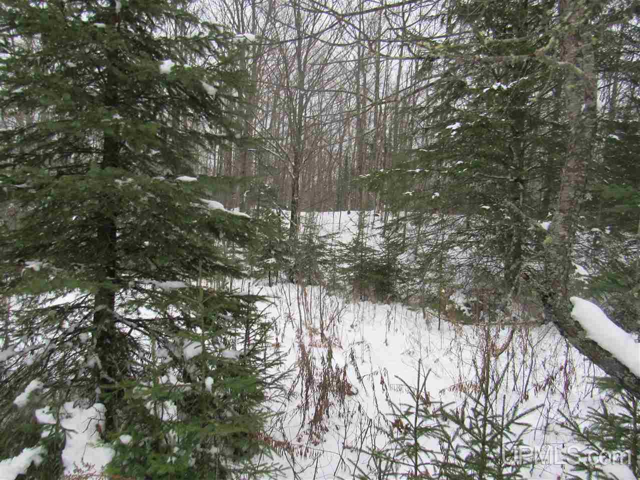 Tbd Johnson Creek Road Chatham, MI 49816 - Photo 26 of 28 Gallery Image 26