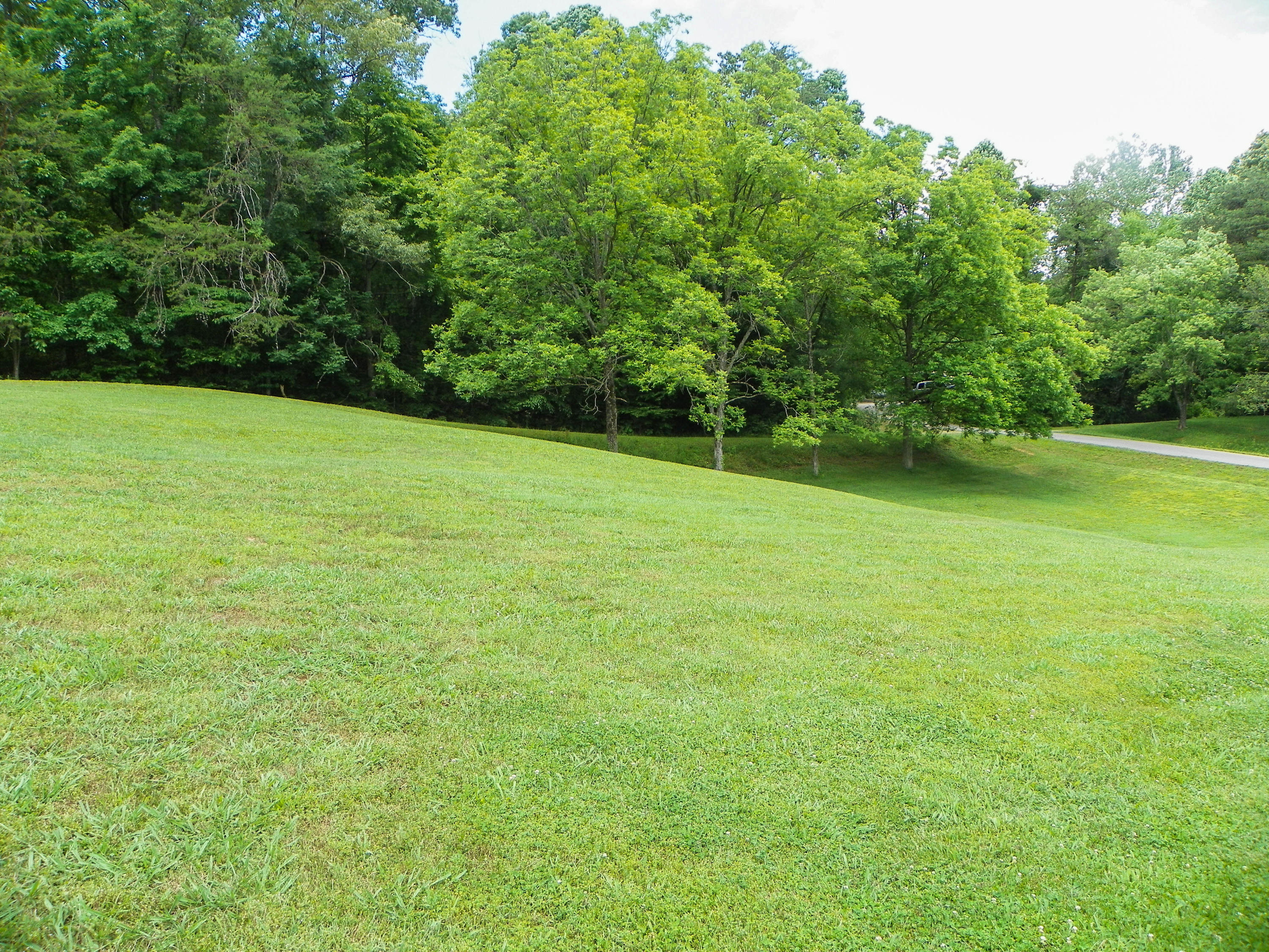 Lot#4 R Pitner Street Seymour, TN 37865 - Photo 1 of 3 13202ChapmanHwy (52 of 64)