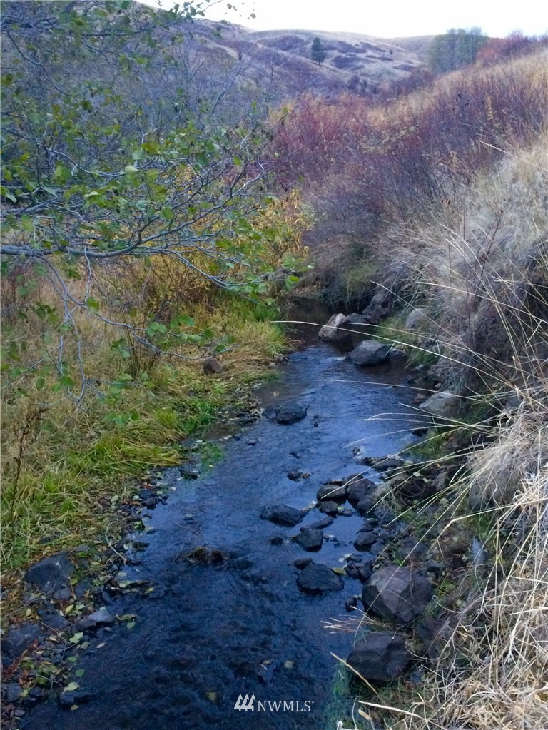 0 Rickman Gulch Road Pomeroy, WA 99347 - Photo 4 of 9