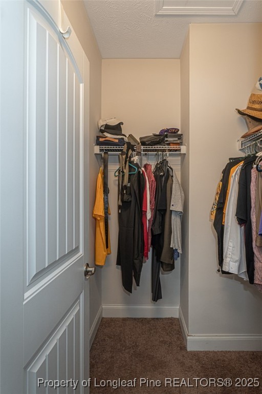 8220 Rivermist Lane Linden, NC 28356 - Photo 24 of 44 a view of a closet and storage