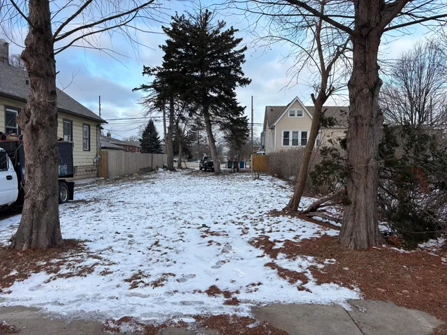 a view of a yard with a tree