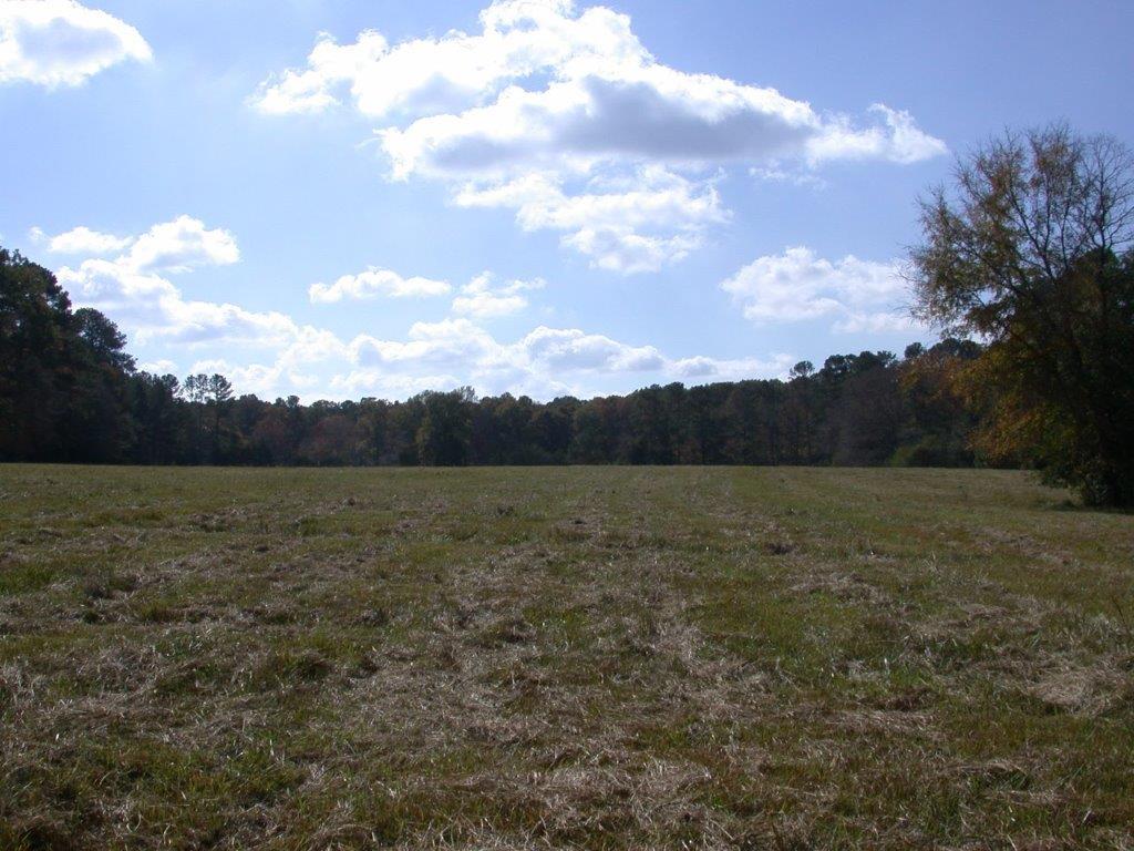 - Larkin Rice Road Saluda, SC 29138 - Photo 58 of 70