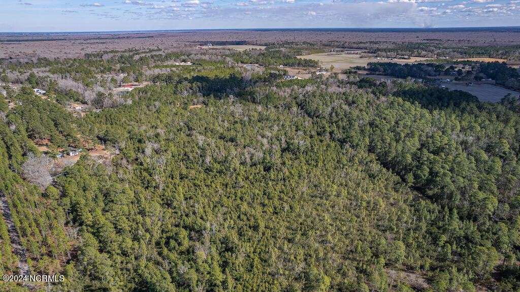 0 Hallsboro Road South Whiteville, NC 28472 - Photo 7 of 27 7