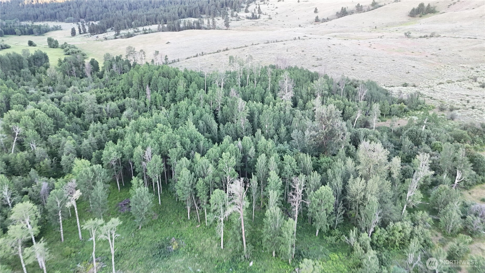 0 Chopaka Mountain Road Loomis, WA 98827 - Photo 7 of 18 Gallery Image 7