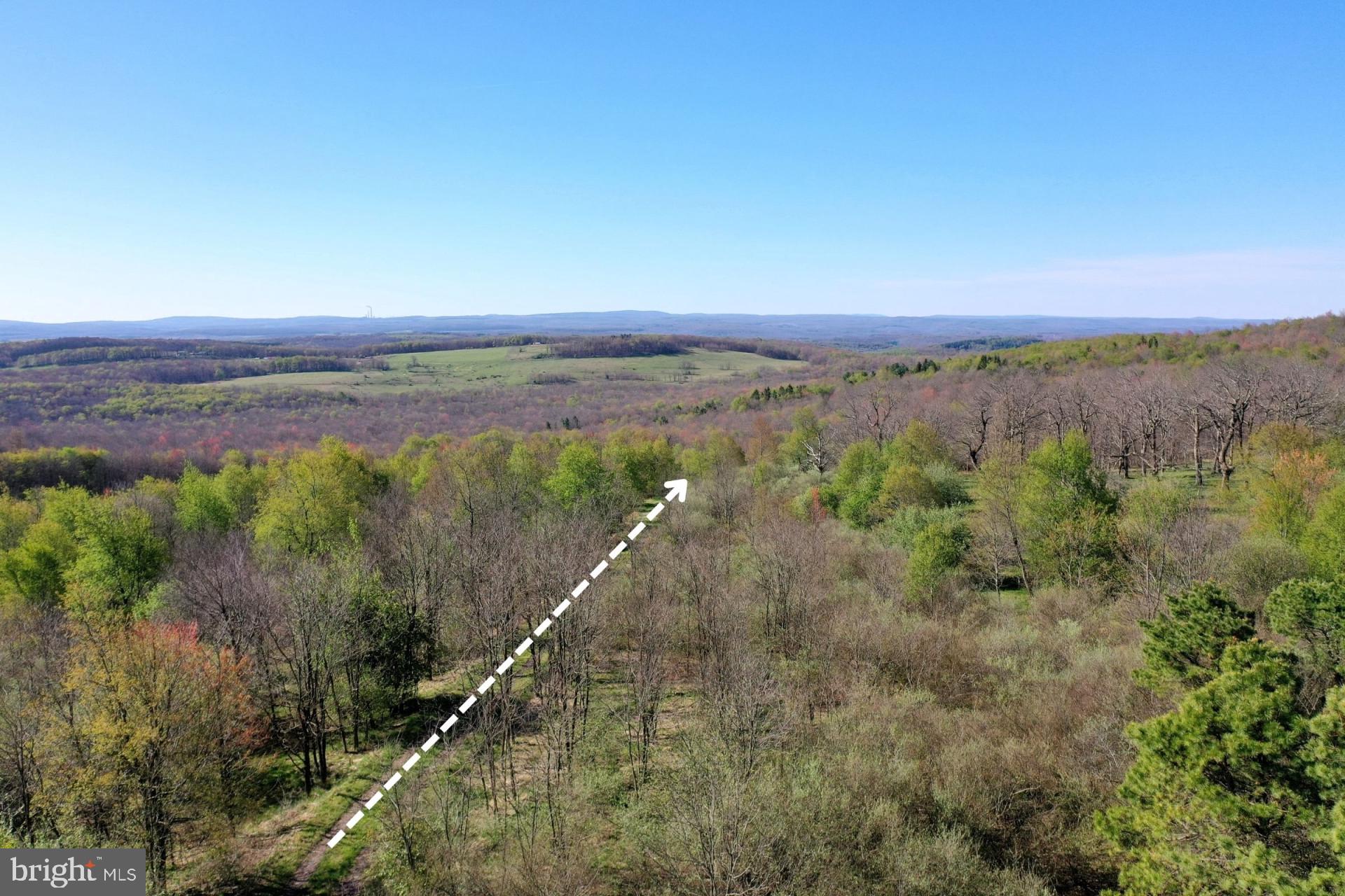 Bethlehem Road Oakland, MD 21550 - Photo 13 of 14
