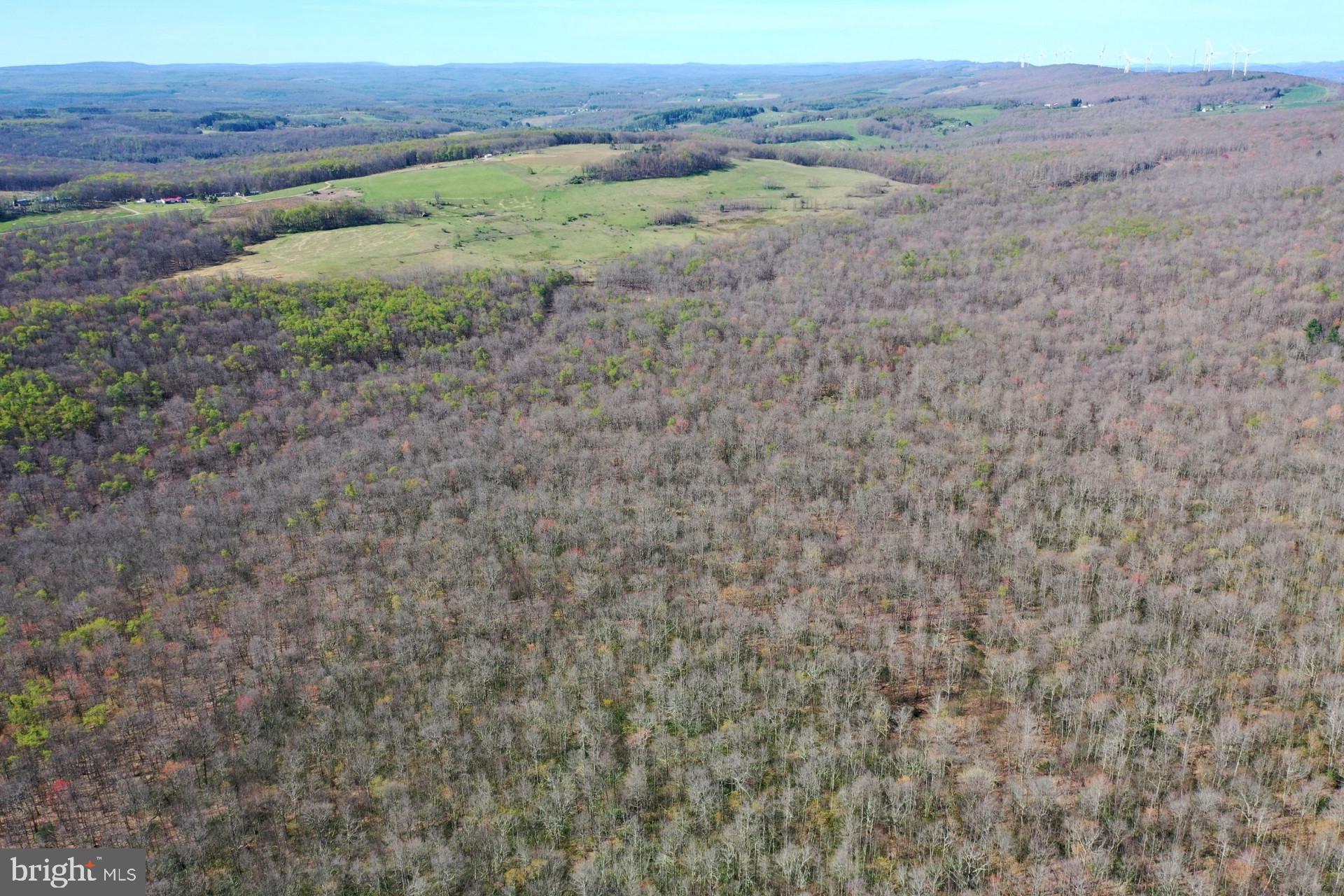 Bethlehem Road Oakland, MD 21550 - Photo 3 of 13 a view of a dry field
