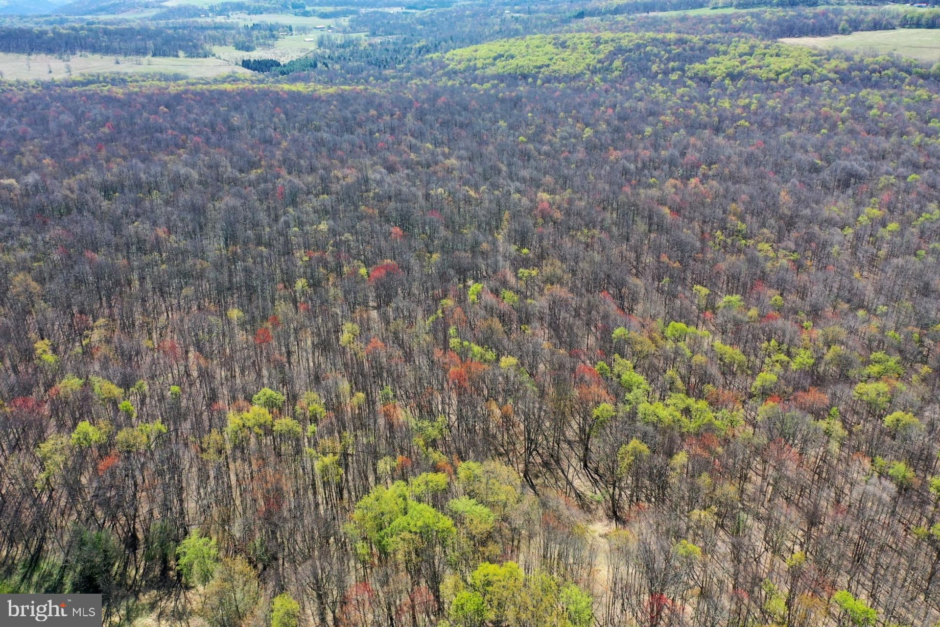 Bethlehem Road Oakland, MD 21550 - Photo 8 of 14