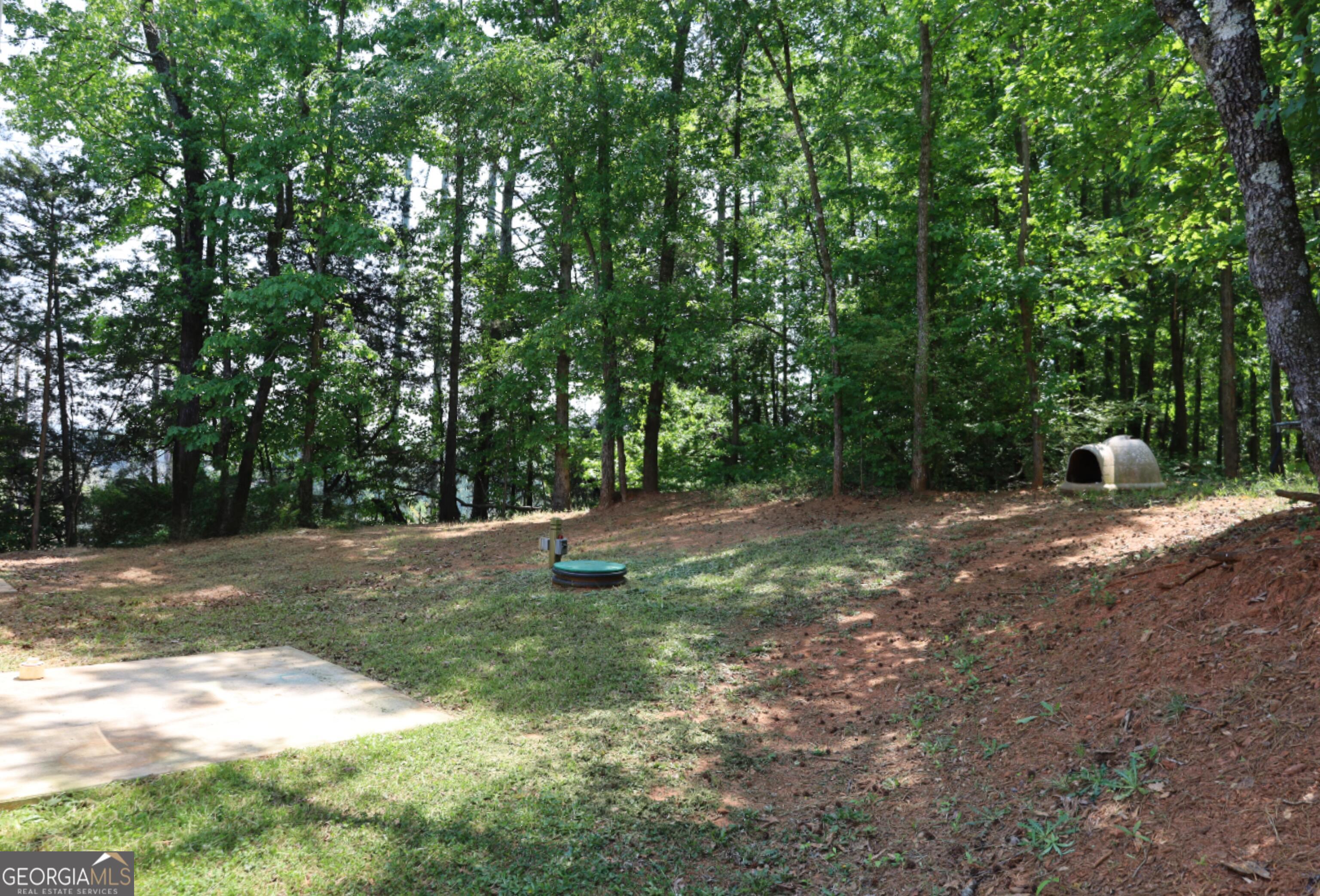 11313 Highway 334 Nicholson, GA 30565 - Photo 5 of 15