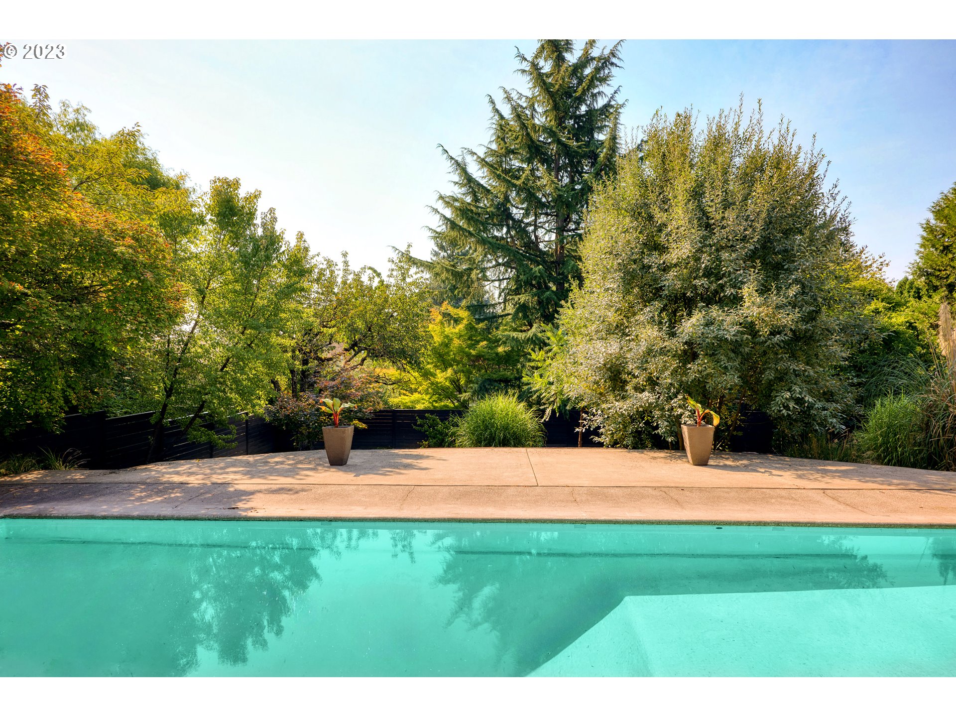5914 Southwest Gunther Lane Portland, OR 97219 - Photo 22 of 40 a view of yard with trees