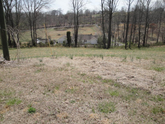 Lot 40 Chippewa Lane Rutledge, TN 37861 - Photo 2 of 2 Lot 41