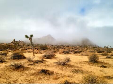 49527 Wayne Street Indio, CA 92201 - Photo 136 of 147 142