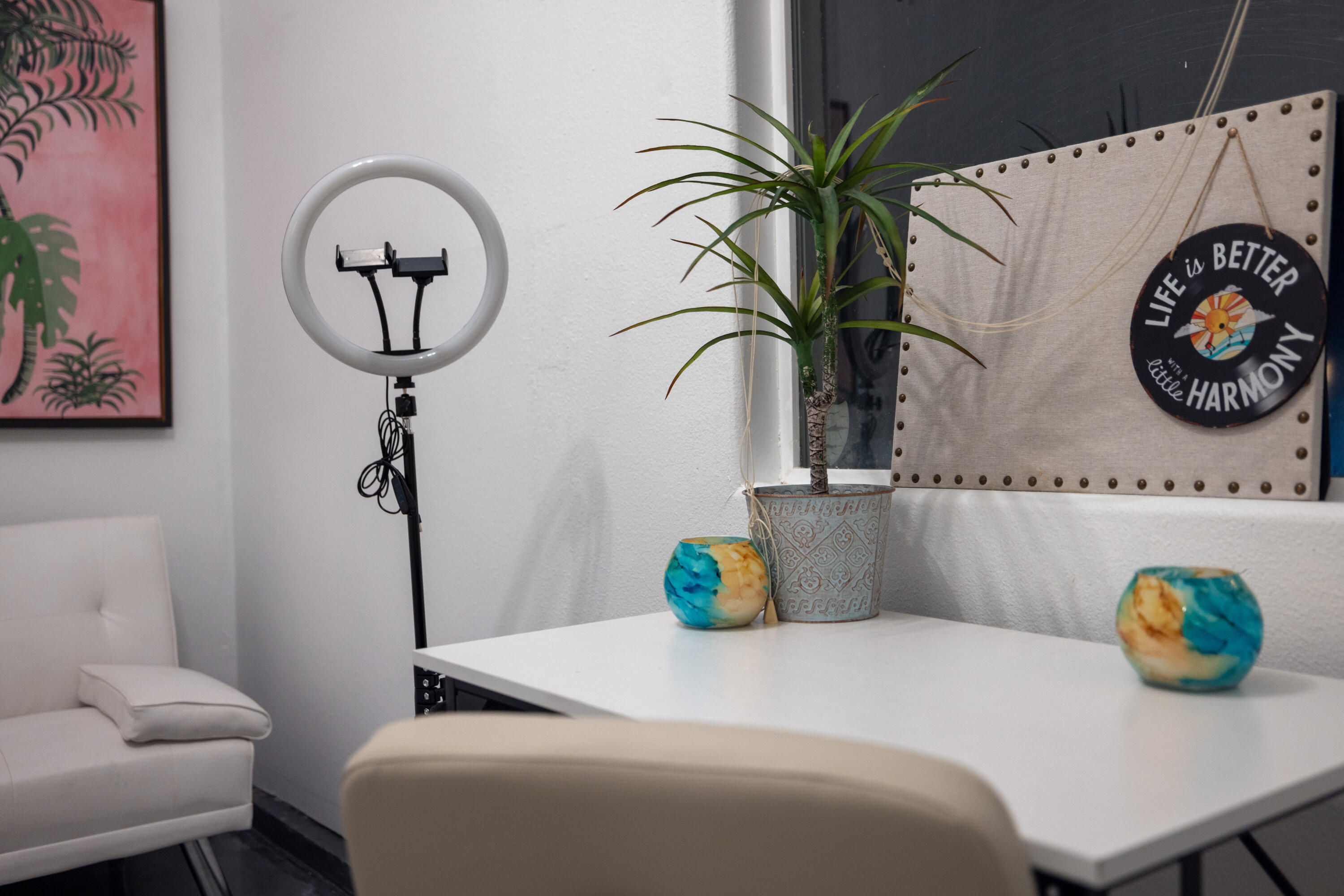 49527 Wayne Street Indio, CA 92201 - Photo 57 of 147 a bedroom with a bed and a potted plant