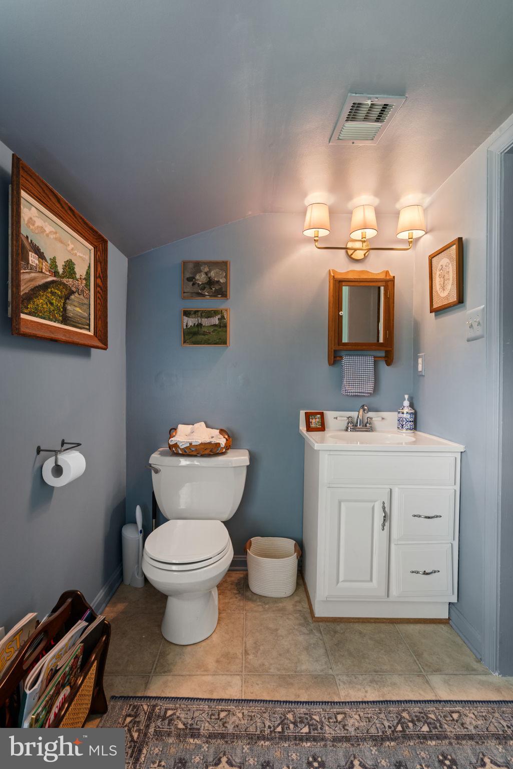 8520 Maidstone Road Delaplane, VA 20144 - Photo 20 of 67 Lower Level Powder Bathroom