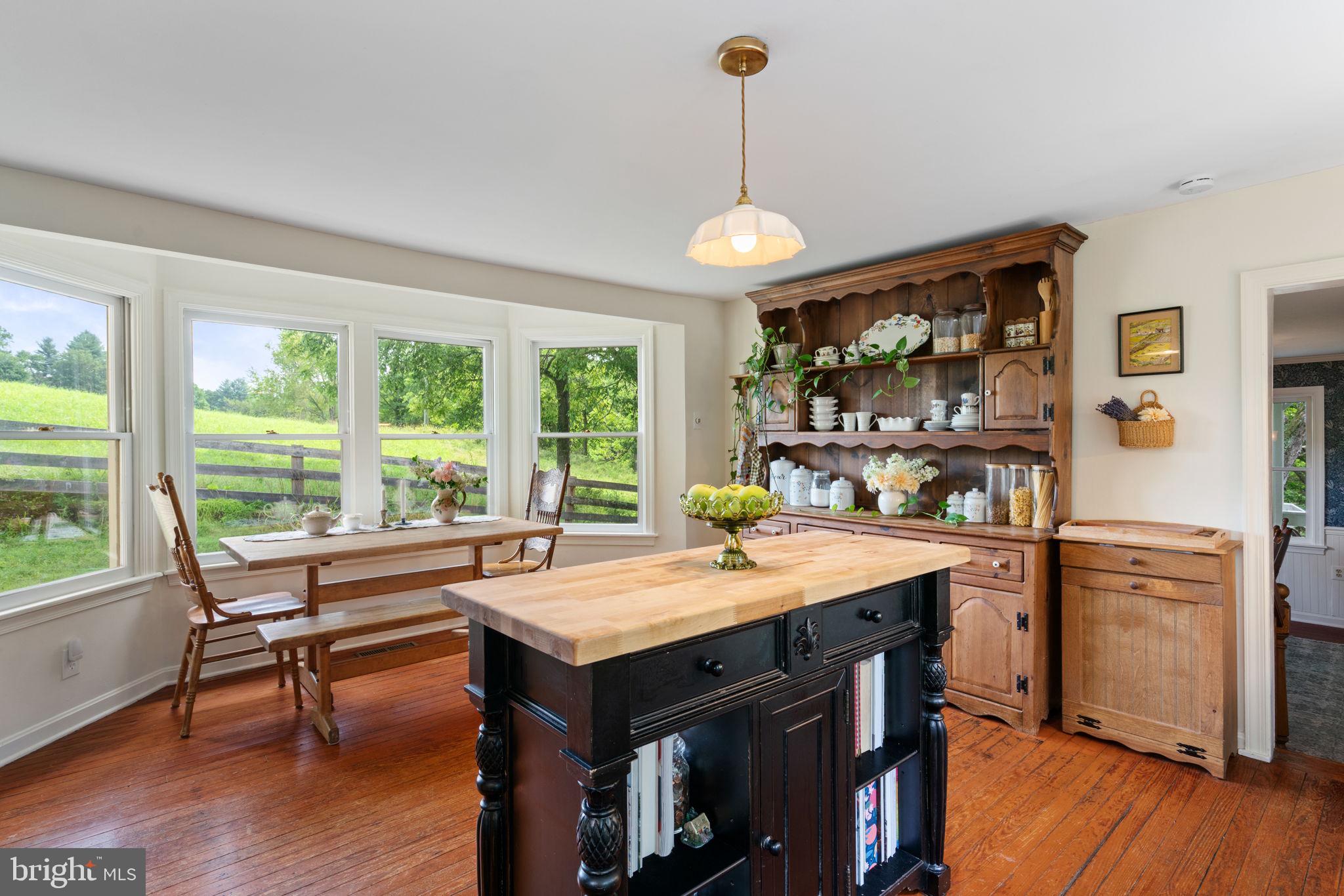 8520 Maidstone Road Delaplane, VA 20144 - Photo 22 of 67 Gorgeous Bay Window overlooking Pastures
