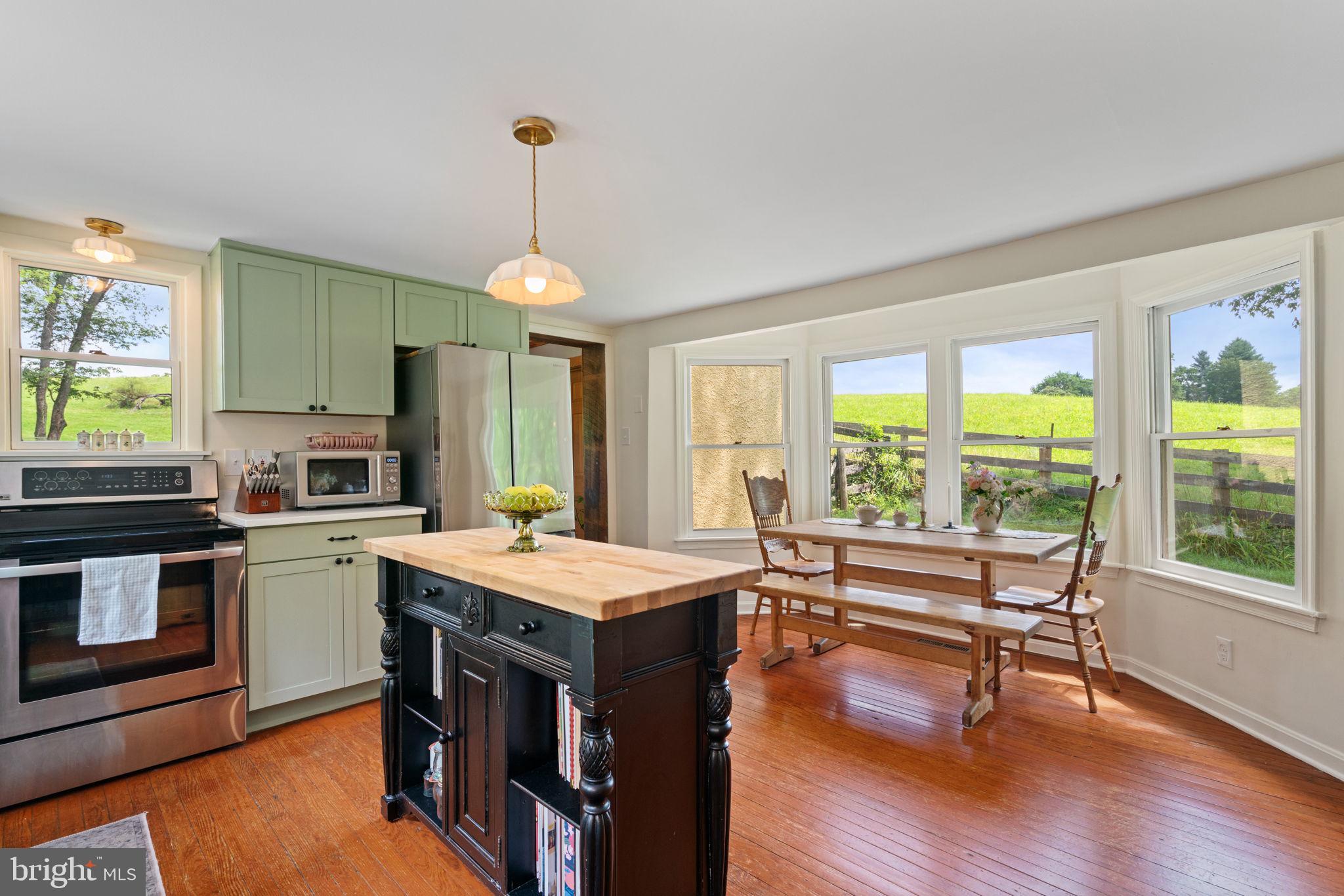 8520 Maidstone Road Delaplane, VA 20144 - Photo 26 of 67 Kitchen