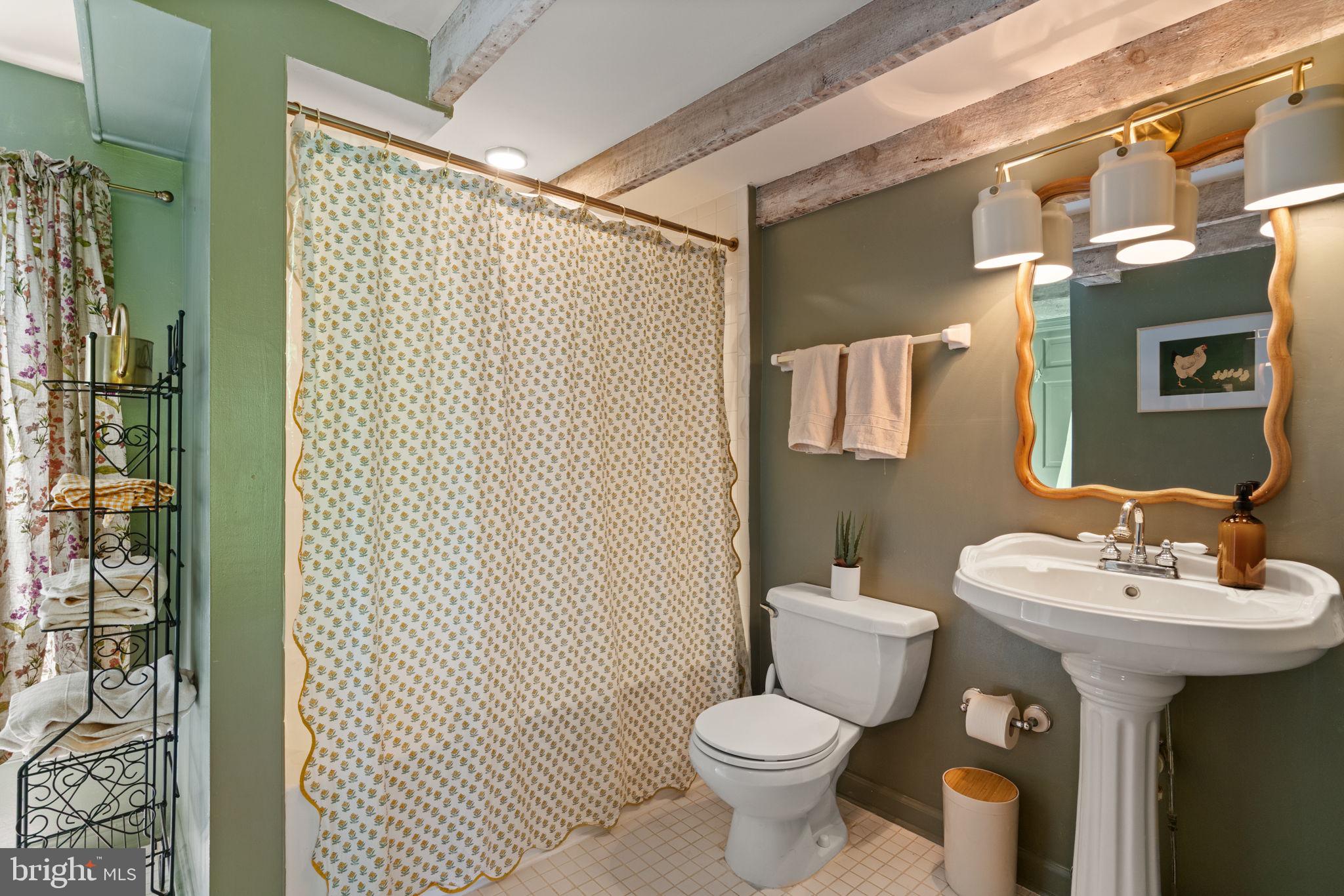 8520 Maidstone Road Delaplane, VA 20144 - Photo 49 of 67 Upper Level Full Hall Bathroom