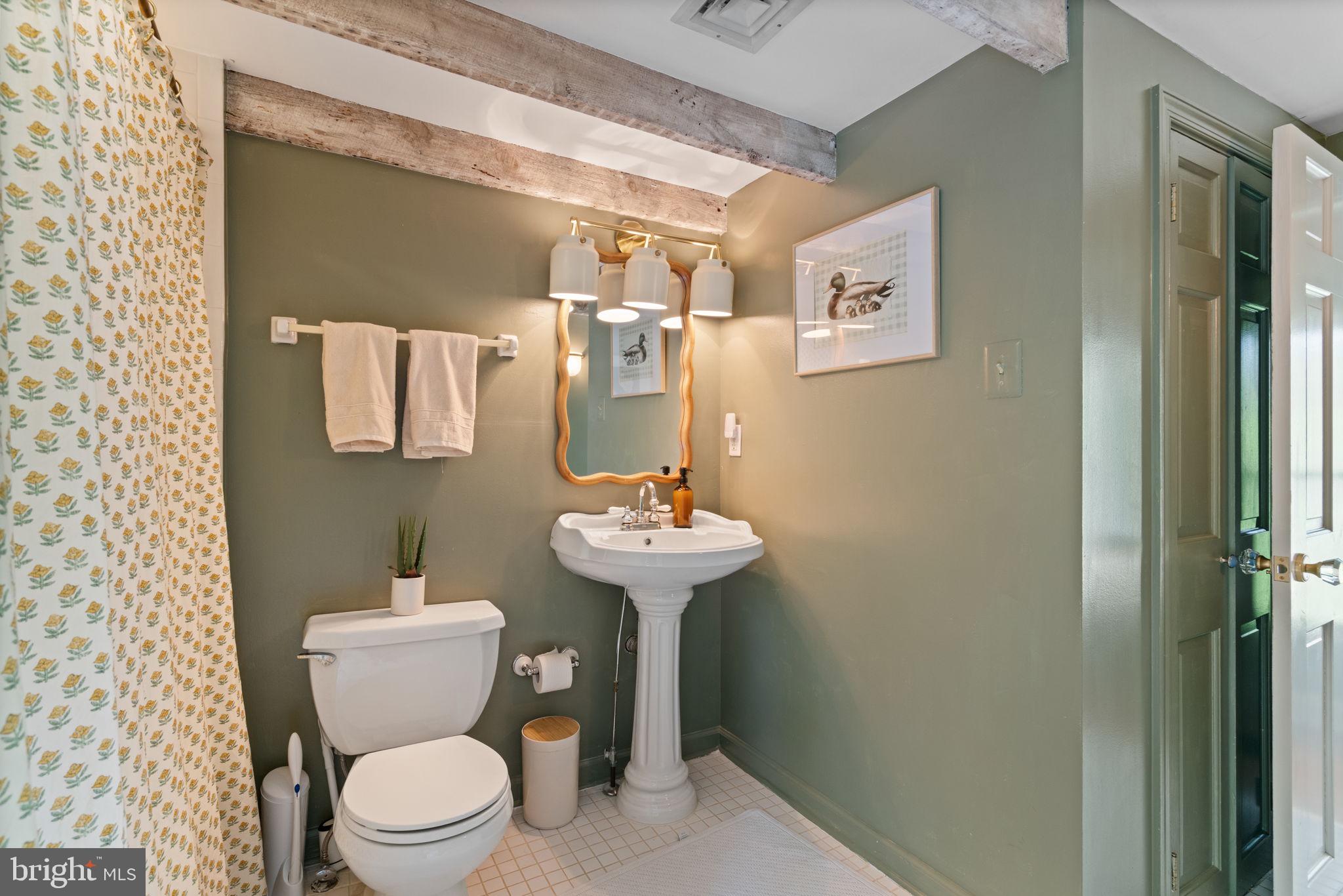 8520 Maidstone Road Delaplane, VA 20144 - Photo 50 of 67 Upper Level Full Hall Bath