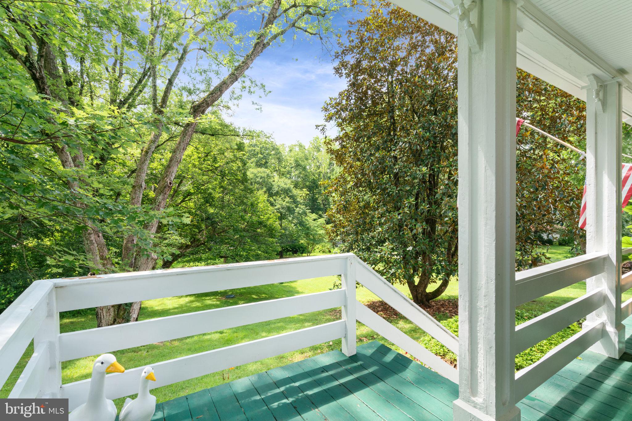 8520 Maidstone Road Delaplane, VA 20144 - Photo 52 of 67 Scenic Views