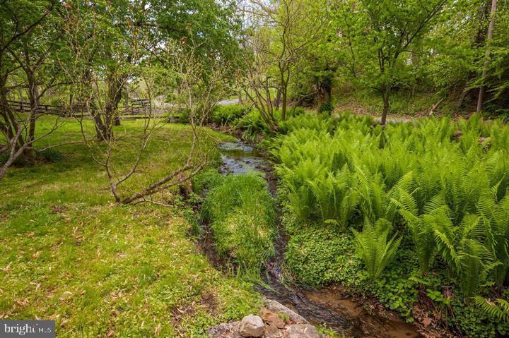 8520 Maidstone Road Delaplane, VA 20144 - Photo 56 of 67 Gardens