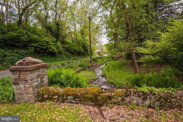 8520 Maidstone Road Delaplane, VA 20144 - Photo 57 of 67 Creek on Property