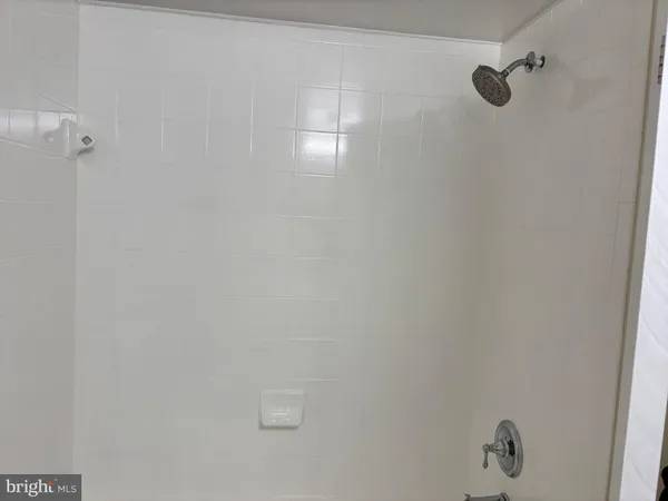 a shower view in a bathroom