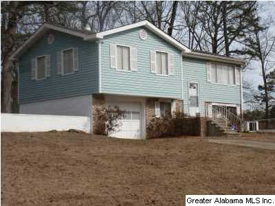 412 14th Avenue Northwest Center Point, AL 35215 - Photo 3 of 4