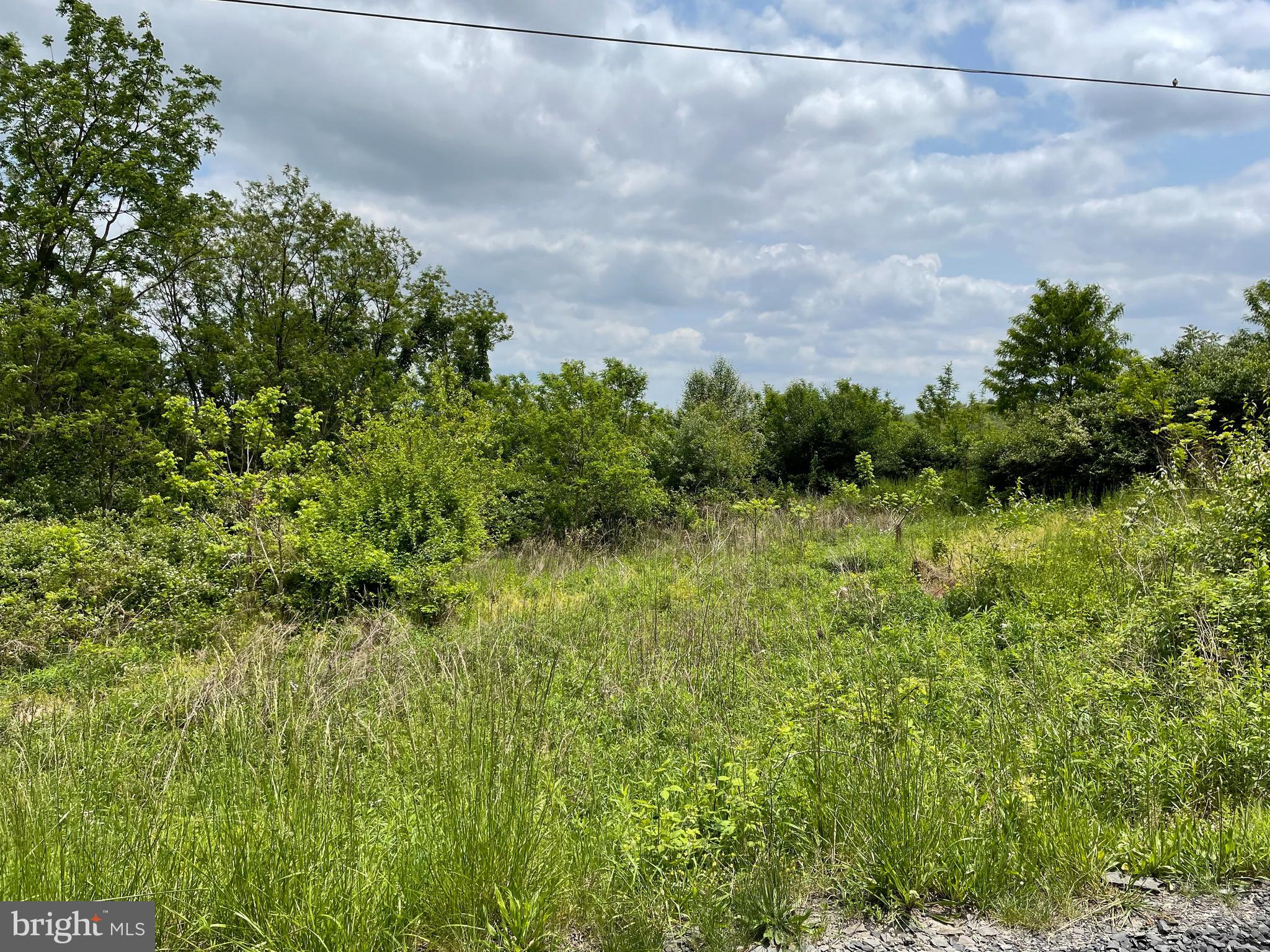 0 Rumler Road, Unit 17 Chambersburg, PA 17202 - Photo 8 of 11 top of the lot by the gravel drive