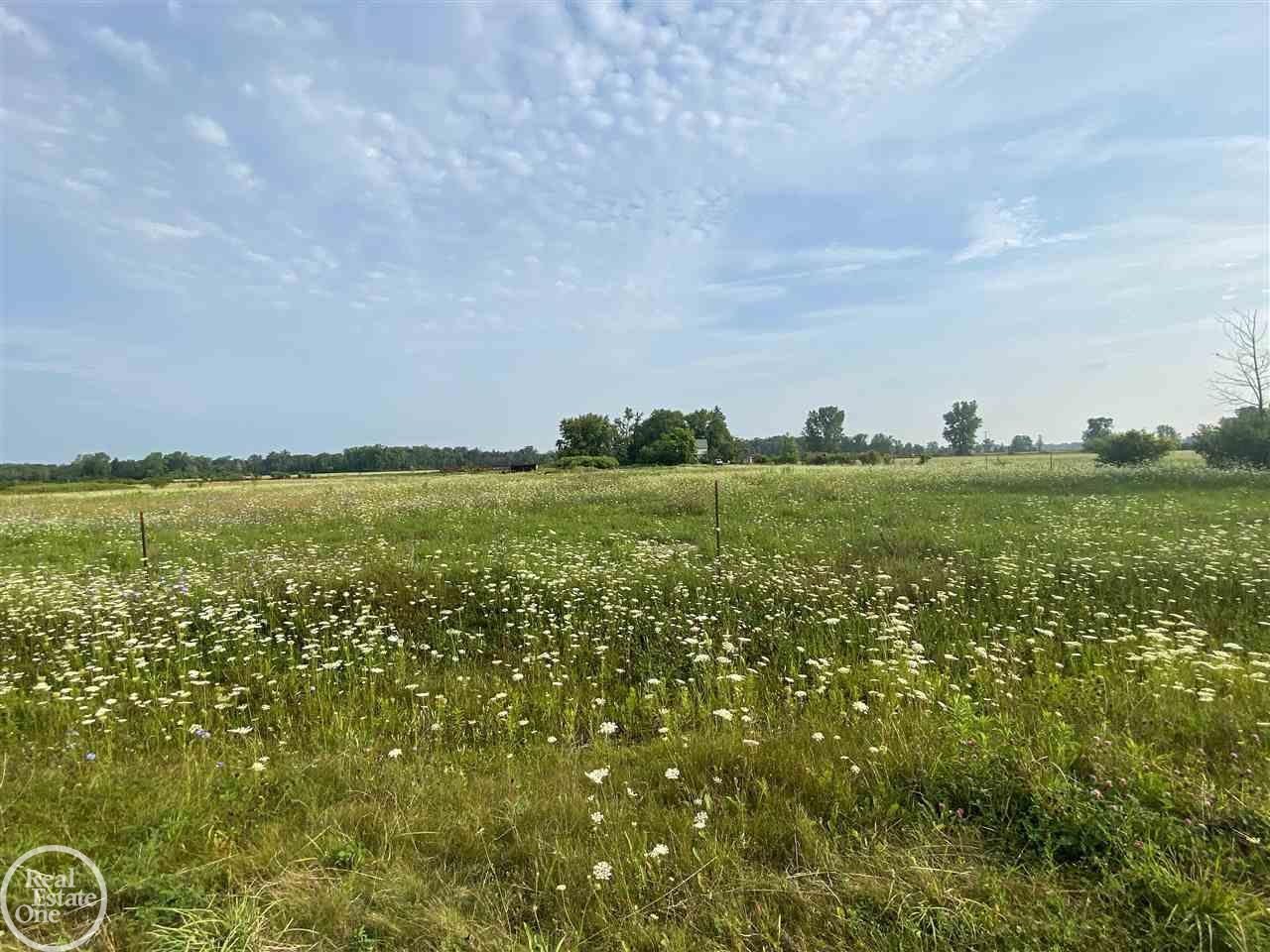 8914 Melvin Road Melvin, MI 48454 - Photo 15 of 15 50051839-14.JPG