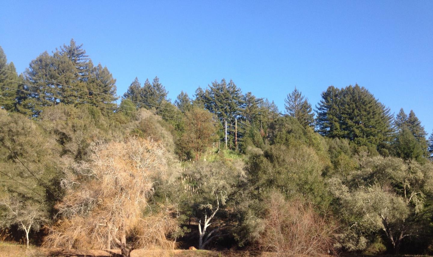 490 Larsen Road Aptos, CA 95003 - Photo 2 of 8 Gallery Image 2