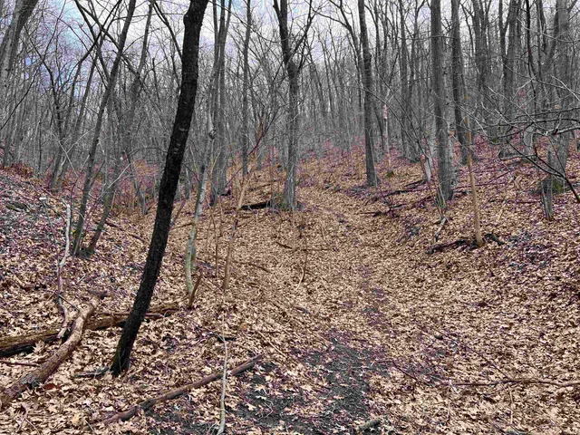 $150,000 | 14.2-acres Will Kumlin, De Soto, WI 54624