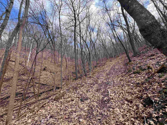 $150,000 | 14.2-acres Will Kumlin, De Soto, WI 54624