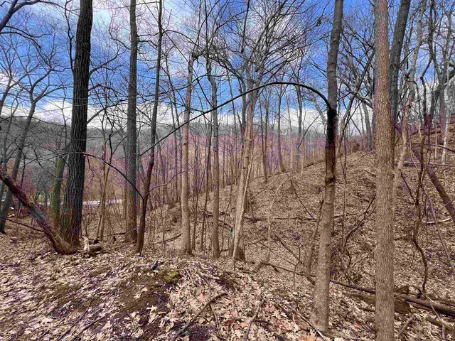 $150,000 | 14.2-acres Will Kumlin, De Soto, WI 54624