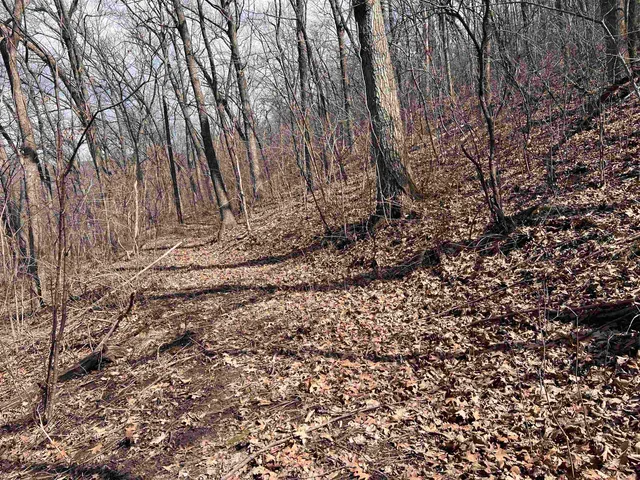 $150,000 | 14.2-acres Will Kumlin, De Soto, WI 54624