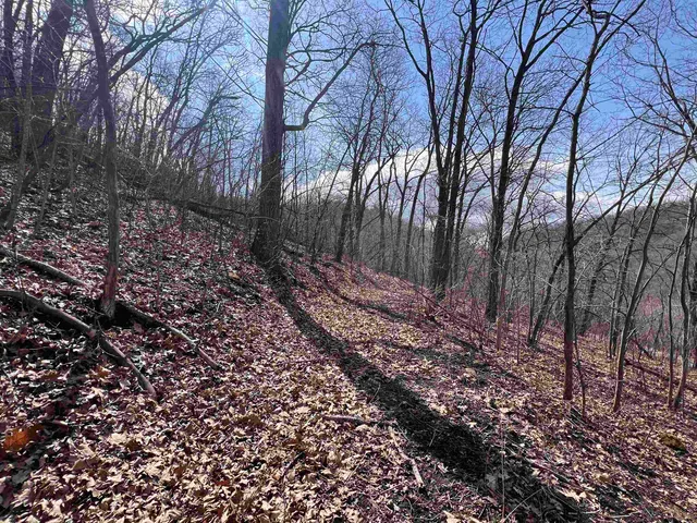 $150,000 | 14.2-acres Will Kumlin, De Soto, WI 54624