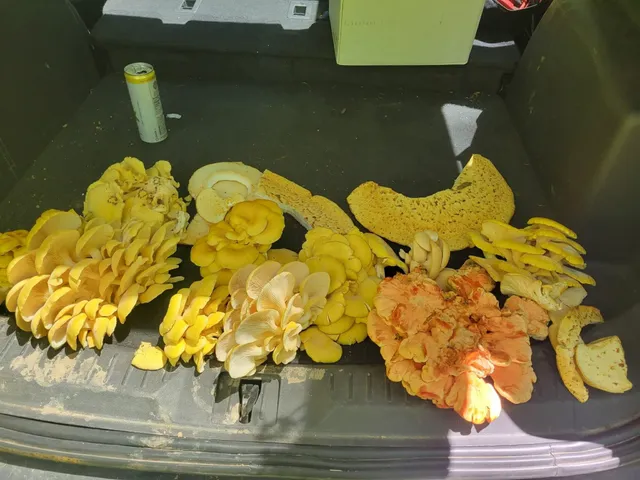 $150,000 | 14.2-acres Will Kumlin, De Soto, WI 54624