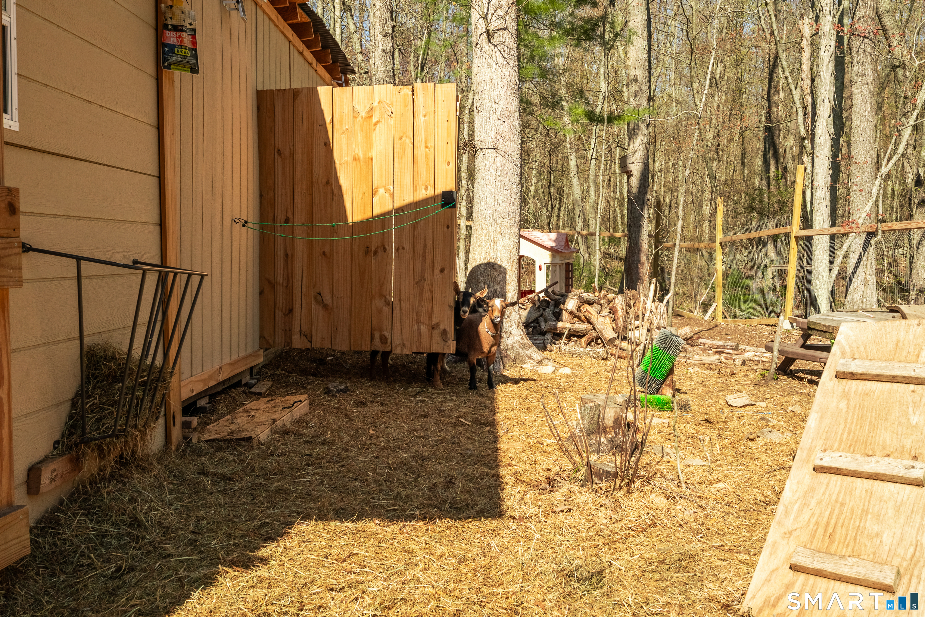 311 Cranberry Bog Road Killingly, CT 06239 - Photo 12 of 33